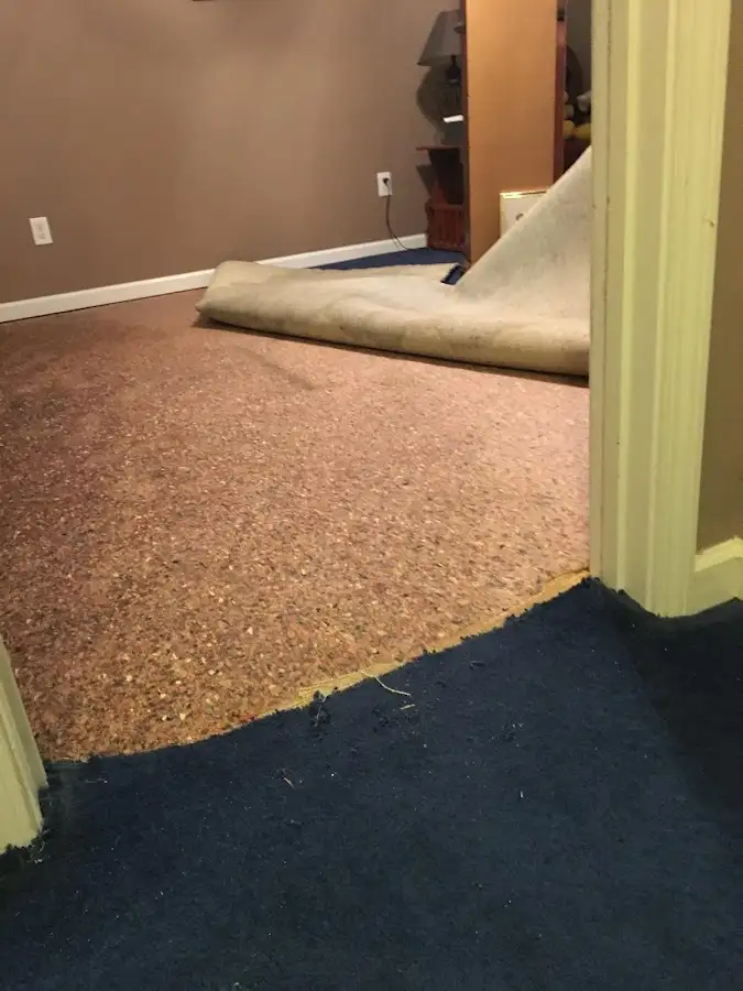 Carpet pad removal revealing water damage during Water Mitigation Services in Dorr