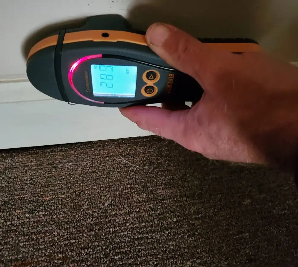 Moisture detection at baseboard during Sewage Cleanup & Sanitation in Dorr